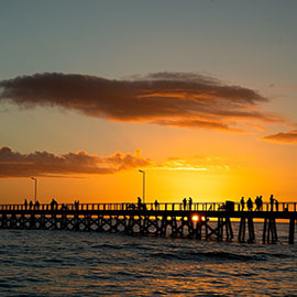工業(yè)凈化濕地建設工程案例