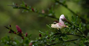 北京再生水年利用量達(dá)12億立方米