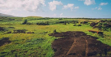 野生動物入“?！碧峒壓蟮囊驊?yīng)之策