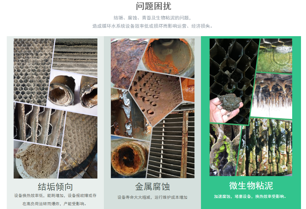 研發(fā)平臺(圖1)